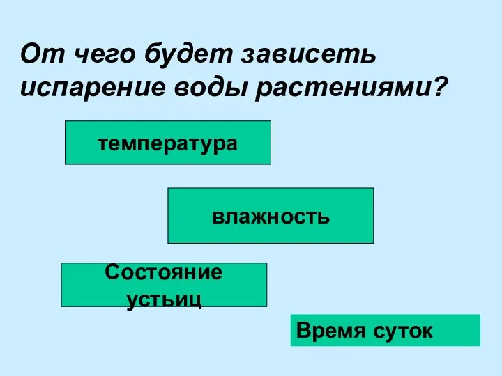 От чего будет зависеть испарение воды растениями? температура влажность Состояние устьиц Время суток