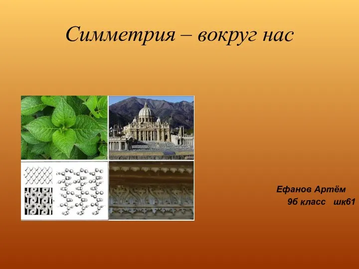 Симметрия – вокруг нас Ефанов Артём 9б класс шк61