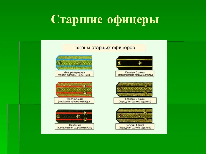 Старшие офицеры