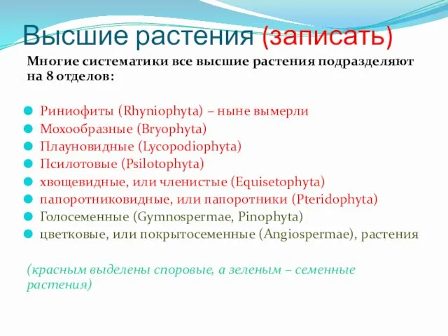 Высшие растения (записать) Многие систематики все высшие растения подразделяют на