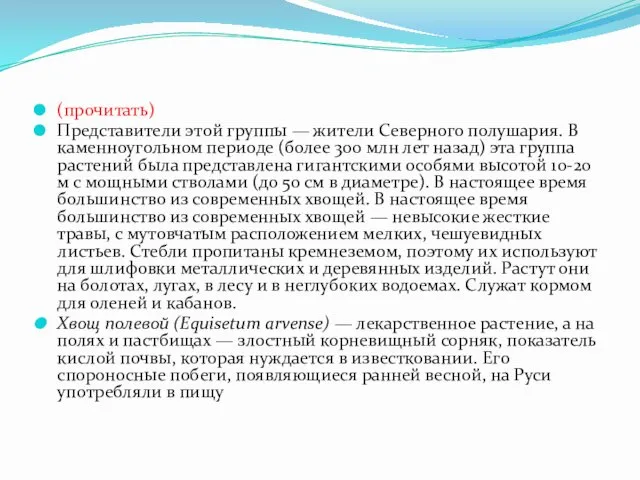 (прочитать) Представители этой группы — жители Северного полушария. В каменноугольном