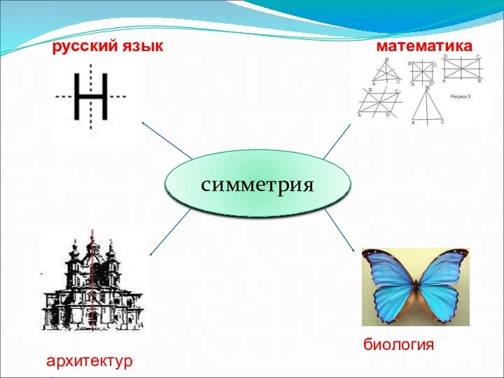 русский язык математика симметрия архитектура биология