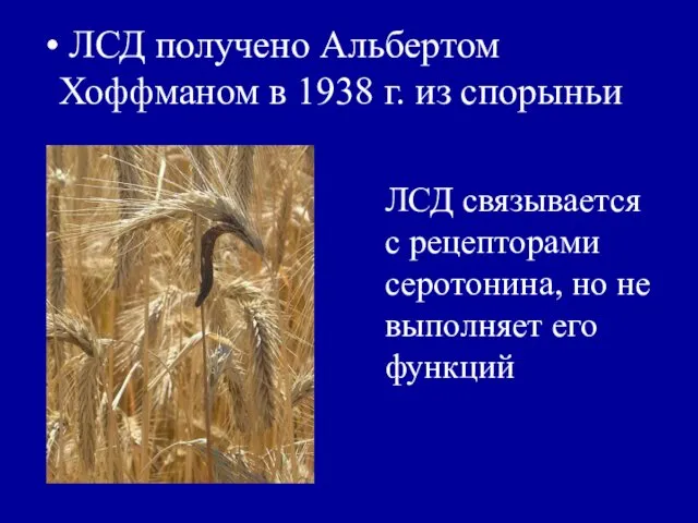 ЛСД получено Альбертом Хоффманом в 1938 г. из спорыньи ЛСД