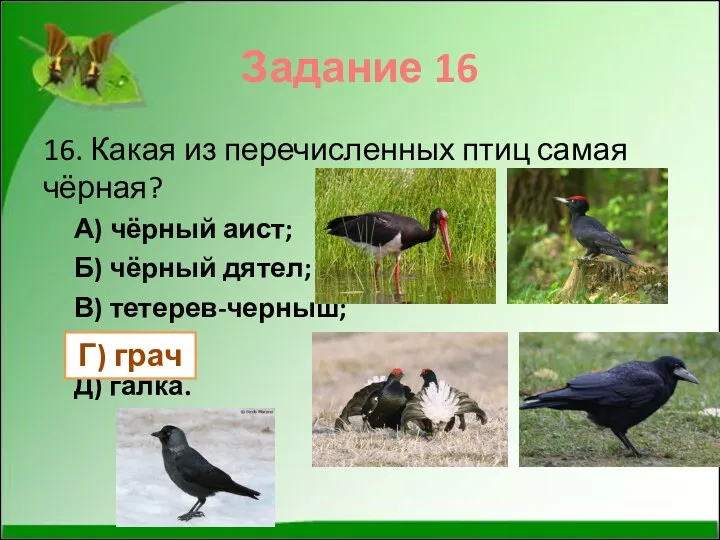 Задание 16 16. Какая из перечисленных птиц самая чёрная? А) чёрный аист; Б)