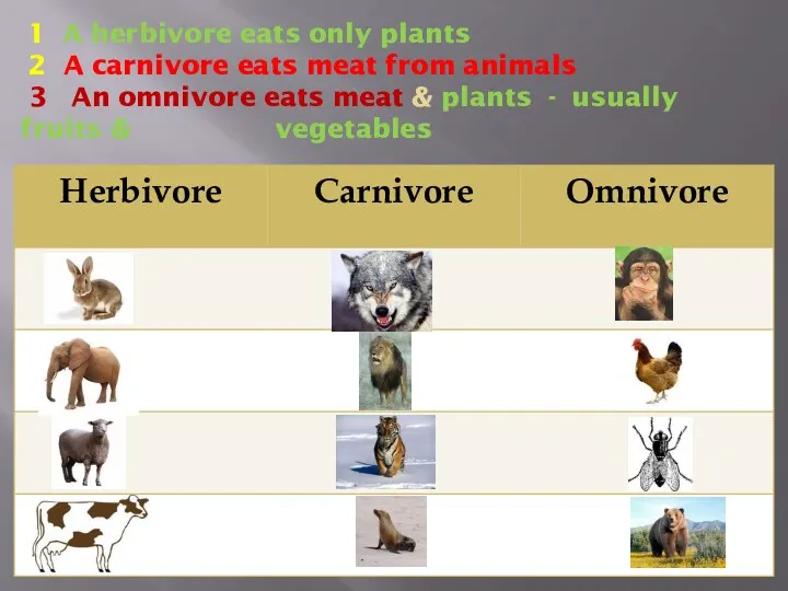 1 A herbivore eats only plants 2 A carnivore eats