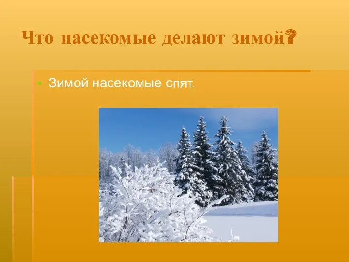 Что насекомые делают зимой? Зимой насекомые спят.