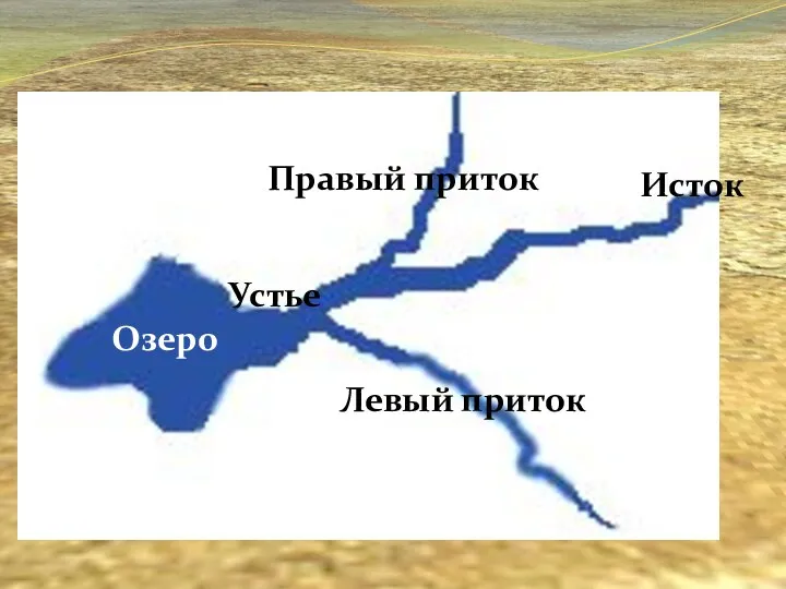 Исток Правый приток Левый приток Устье Озеро