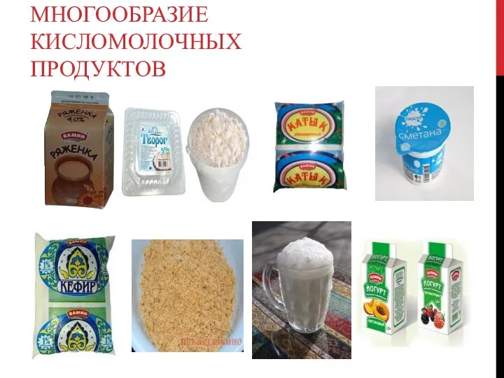 Многообразие кисломолочных продуктов