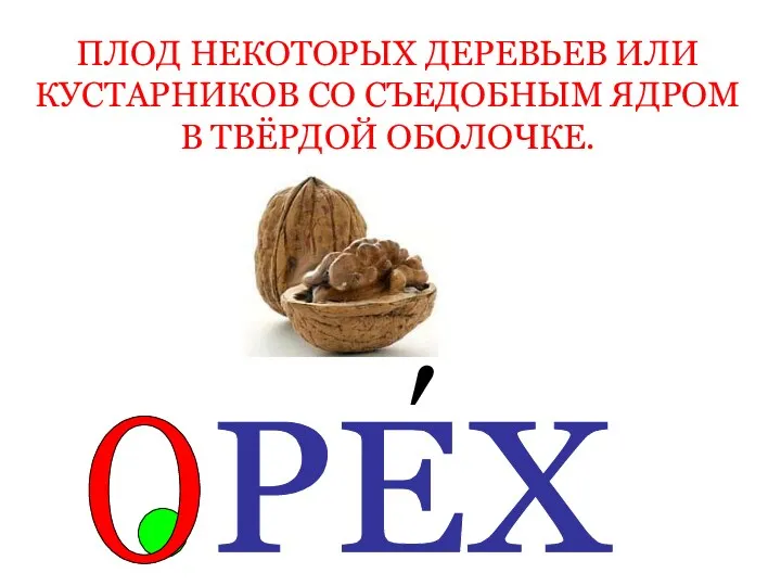 ПЛОД НЕКОТОРЫХ ДЕРЕВЬЕВ ИЛИ КУСТАРНИКОВ СО СЪЕДОБНЫМ ЯДРОМ В ТВЁРДОЙ ОБОЛОЧКЕ. РЕХ ′ О