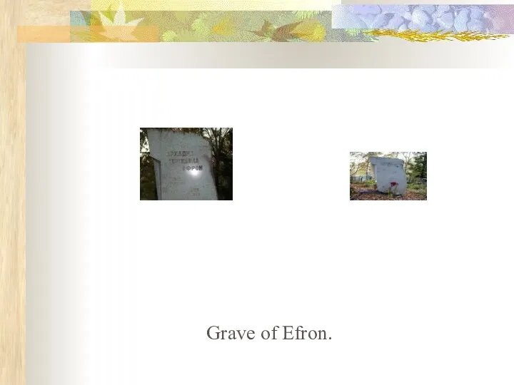 Grave of Efron.