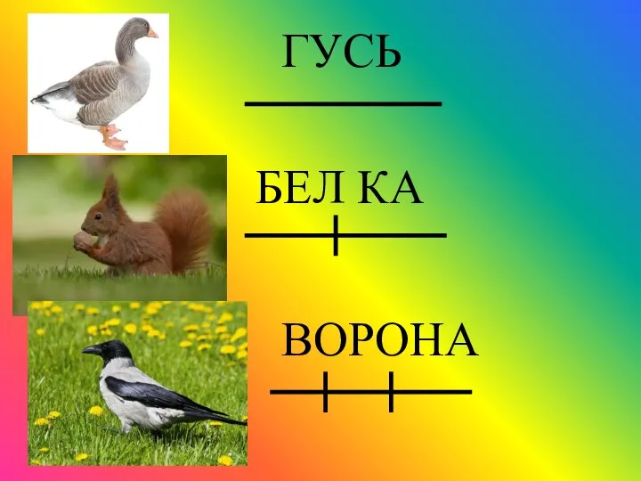 ГУСЬ БЕЛ КА ВОРОНА