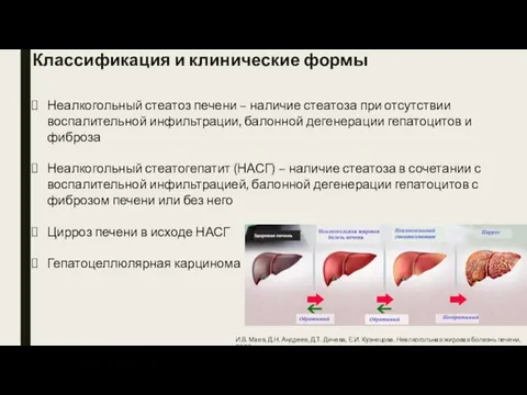 Классификация и клинические формы Неалкогольный стеатоз печени – наличие стеатоза