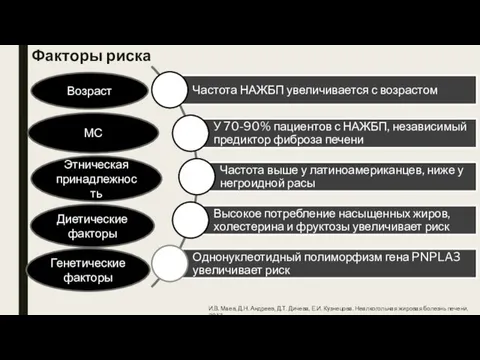 Факторы риска И.В. Маев, Д.Н. Андреев, Д.Т. Дичева, Е.И. Кузнецова. Неалкогольная жировая болезнь