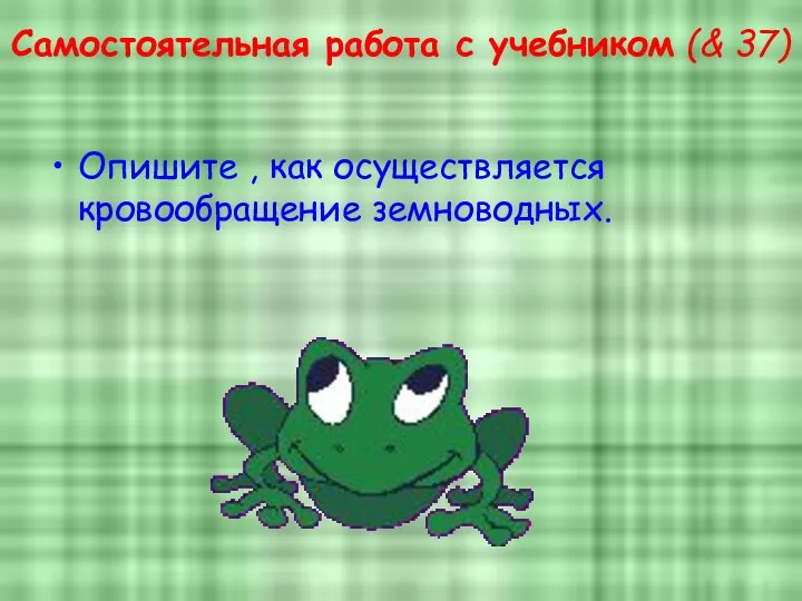 Самостоятельная работа с учебником (& 37) Опишите , как осуществляется кровообращение земноводных.