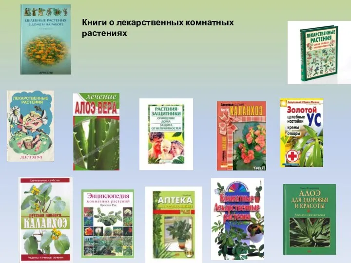 Книги о лекарственных комнатных растениях