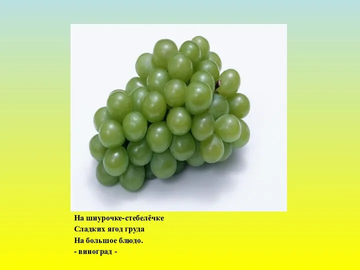 На шнурочке-стебелёчке Сладких ягод груда На большое блюдо. - виноград -