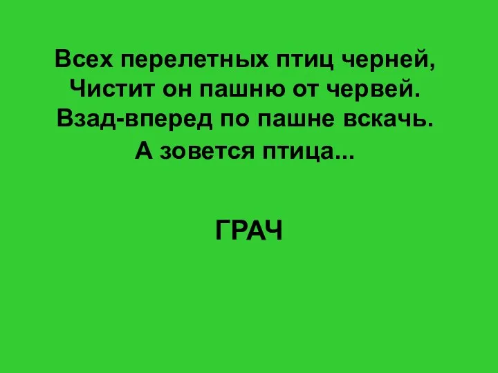 Всех перелетных птиц черней, Чистит он пашню от червей. Взад-вперед