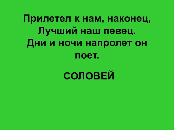 Прилетел к нам, наконец, Лучший наш певец. Дни и ночи напролет он поет. СОЛОВЕЙ