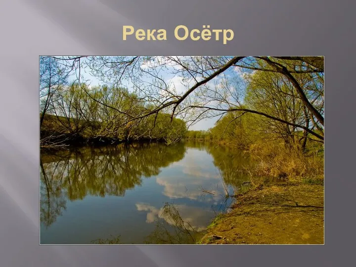 Река Осётр