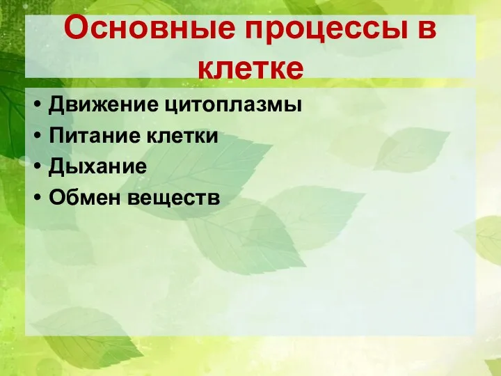 Основные процессы в клетке Движение цитоплазмы Питание клетки Дыхание Обмен веществ