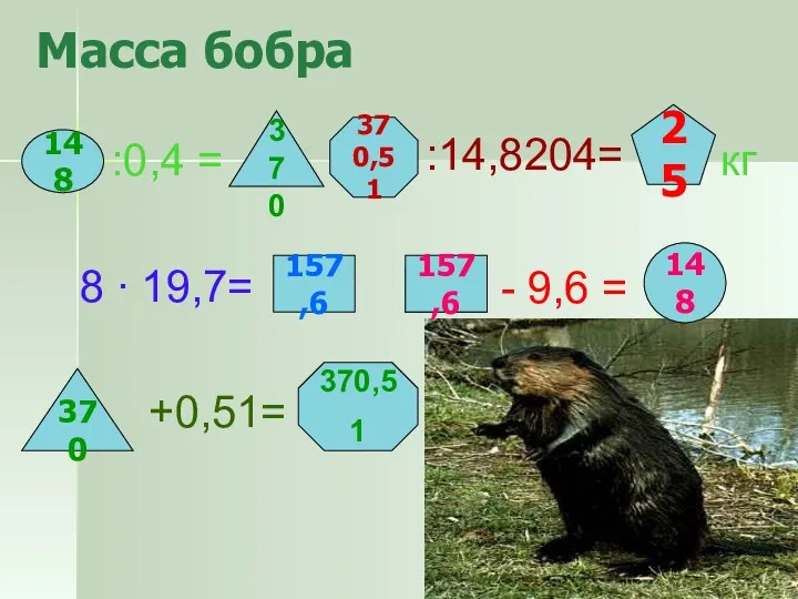 Масса бобра 148 :0,4 = 370 370,51 кг - 9,6 = 148 370