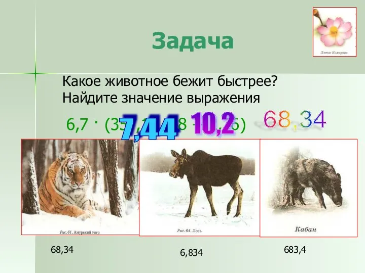 Задача Какое животное бежит быстрее? Найдите значение выражения 6,7 · (357,12 :48 +