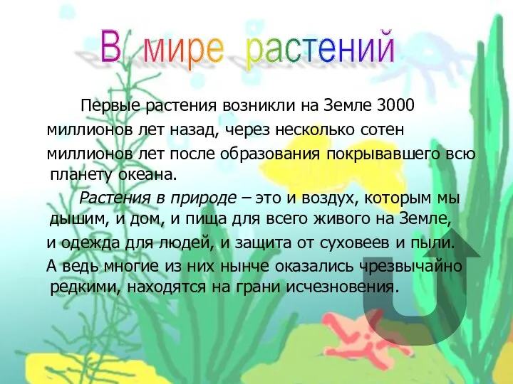 Первые растения возникли на Земле 3000 миллионов лет назад, через несколько сотен миллионов