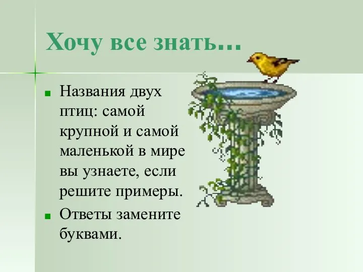 Хочу все знать… Названия двух птиц: самой крупной и самой маленькой в мире