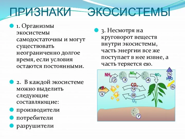 ПРИЗНАКИ ЭКОСИСТЕМЫ 1. Организмы экосистемы самодостаточны и могут существовать неограниченно