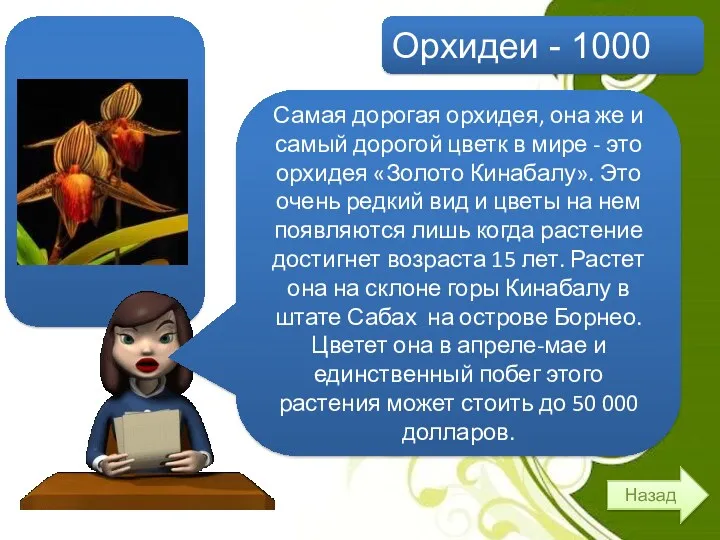 Орхидеи - 1000 Назад Самая дорогая орхидея, она же и