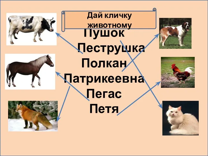 Пушок Пеструшка Полкан Патрикеевна Пегас Петя Дай кличку животному