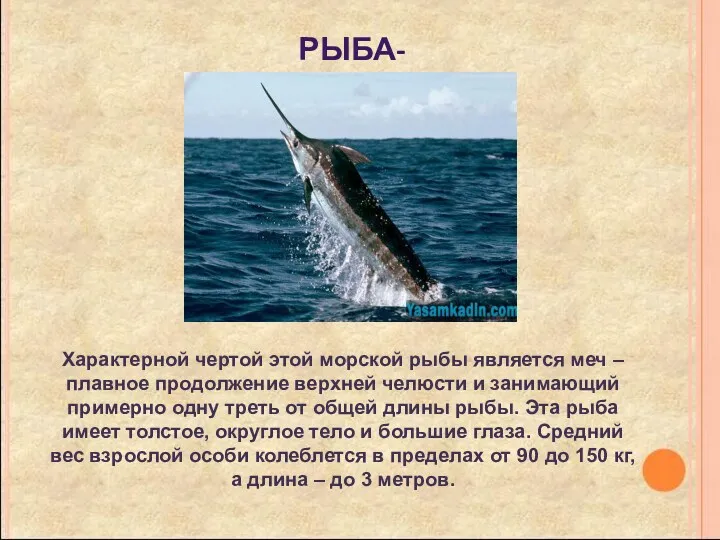 Рыба-меч Характерной чертой этой морской рыбы является меч – плавное продолжение верхней челюсти