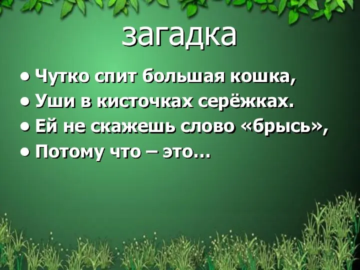 загадка Чутко спит большая кошка, Уши в кисточках серёжках. Ей