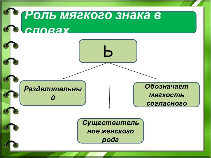 Роль мягкого знака в словах Ь Разделительный Обозначает мягкость согласного Существительное женского рода