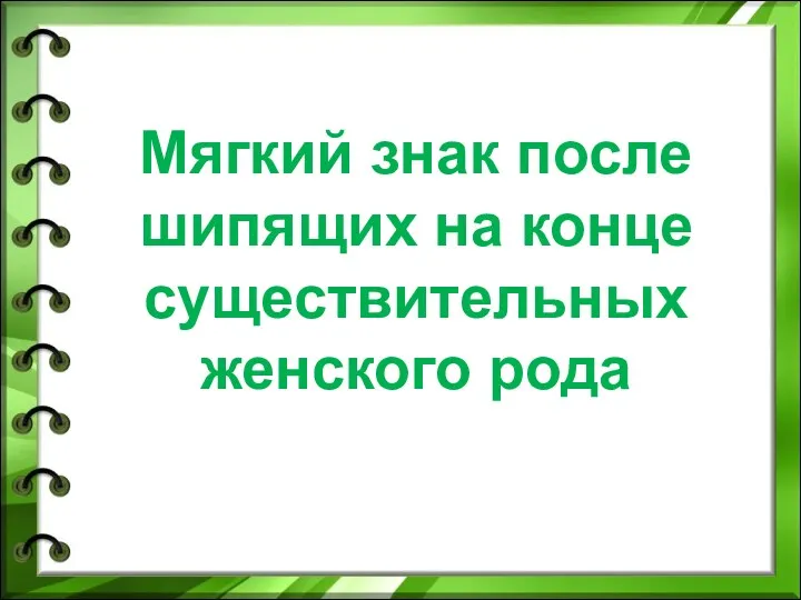 Мягкий знак после шипящих на конце существительных женского рода