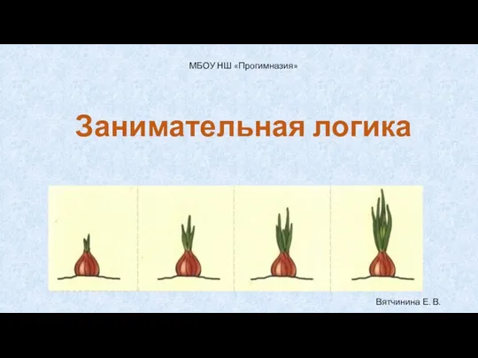 Занимательная логика МБОУ НШ «Прогимназия» Вятчинина Е. В.