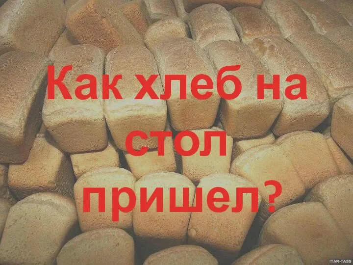 Как хлеб на стол пришел? Как хлеб на стол пришел?