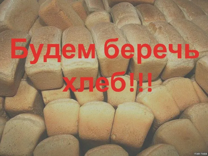 Будем беречь хлеб!!! Будем беречь хлеб!!!