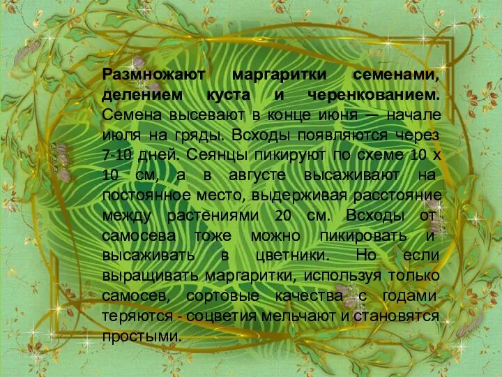 Размножают маргаритки семенами, делением куста и черенкованием. Семена высевают в