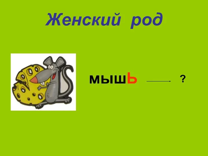 Женский род мышЬ ?