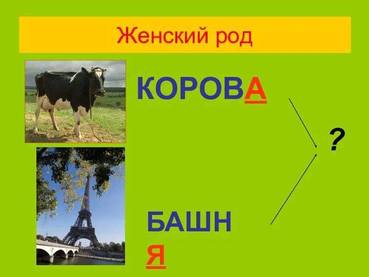 Женский род КОРОВА ? БАШНЯ