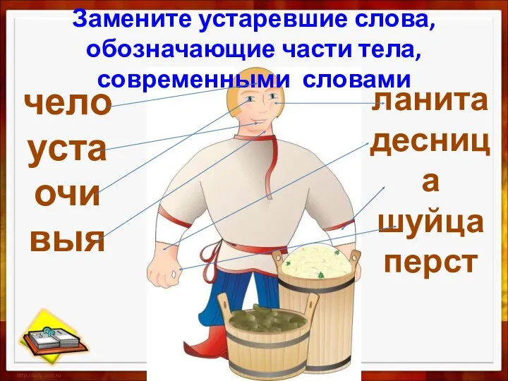 Замените устаревшие слова, обозначающие части тела, современными словами чело уста очи выя ланита десница шуйца перст