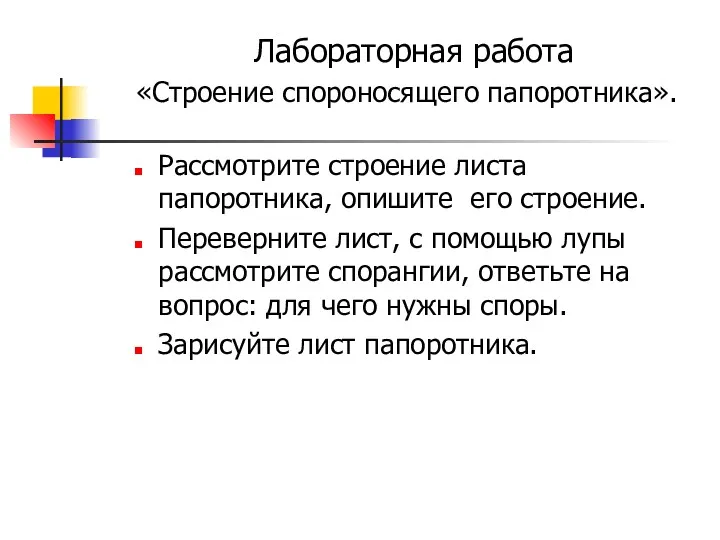 Лабораторная работа «Строение спороносящего папоротника». Рассмотрите строение листа папоротника, опишите