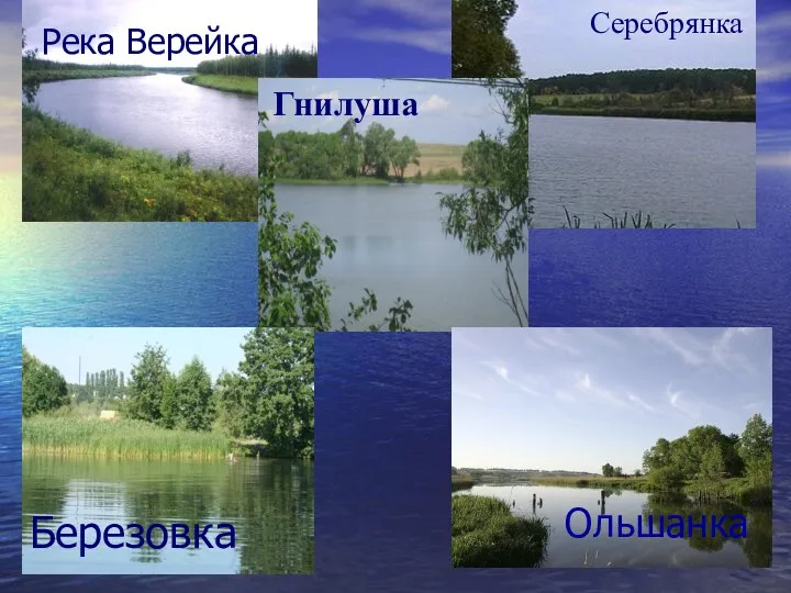 Река Верейка Серебрянка Гнилуша Березовка Ольшанка