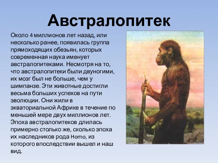 Около 4 миллионов лет назад, или несколько ранее, появилась группа