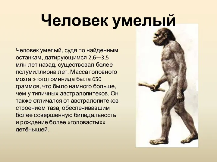 Человек умелый, судя по найденным останкам, датирующимся 2,6—3,5 млн лет