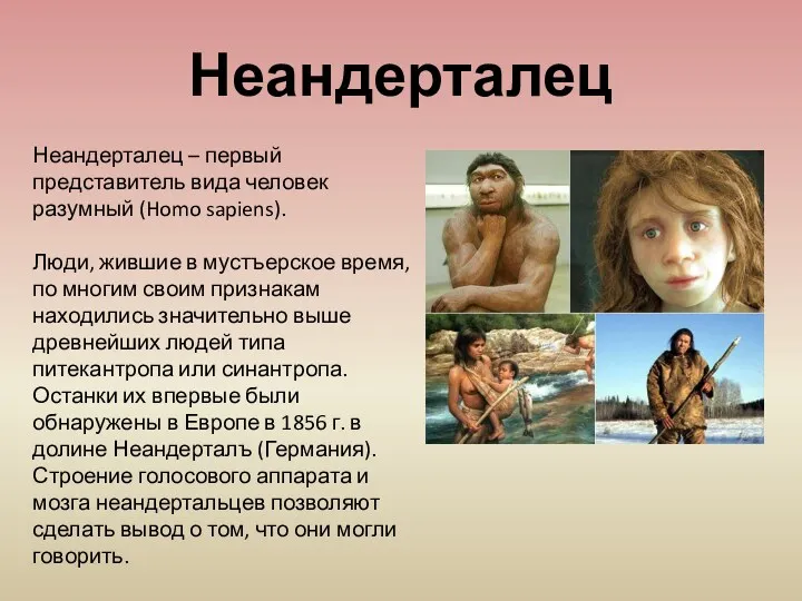 Неандерталец – первый представитель вида человек разумный (Homo sapiens). Люди,