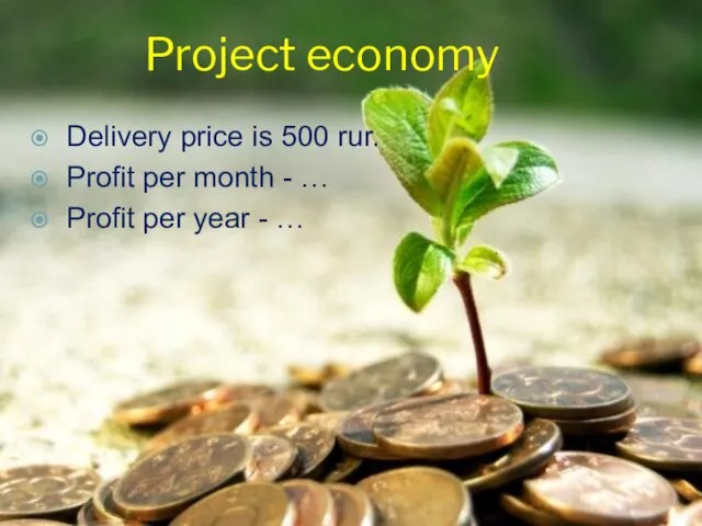 Project economy Delivery price is 500 rur. Profit per month