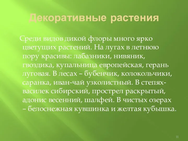 Декоративные растения Среди видов дикой флоры много ярко цветущих растений.