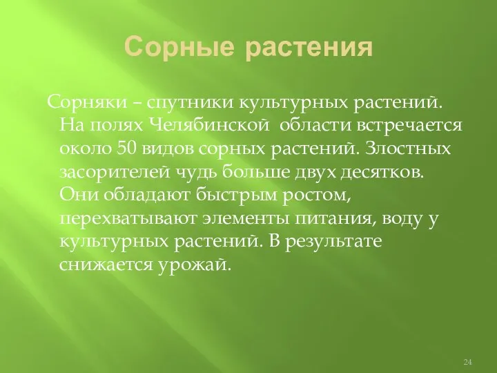 Сорные растения Сорняки – спутники культурных растений. На полях Челябинской